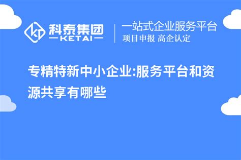 服务项目_湖南省中小企业公共服务平台