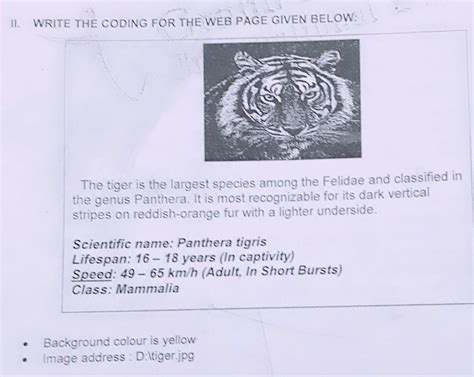 Introduction To HTML 5 of Class 7( Write the Coding for the Web Page ...