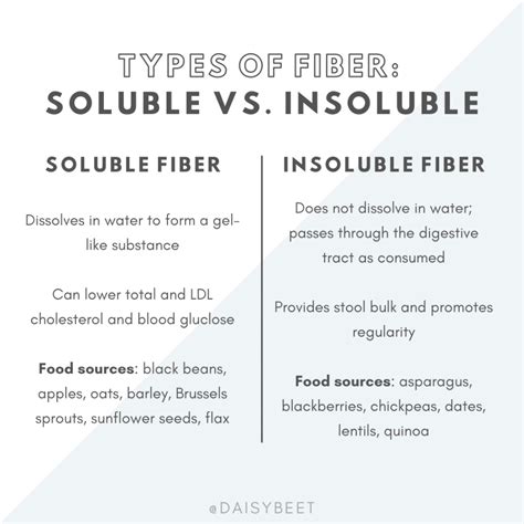 Soluble vs. Insoluble Fiber: Why You Need Them Both