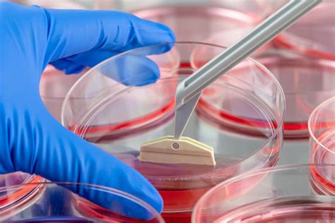 Tissue engineering Applications 的图像结果