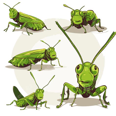 Grasshopper Clipart Stock Art Drawing Of A Red Legged Grasshopper