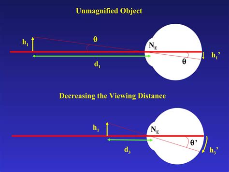 What Is Magnification 的图像结果