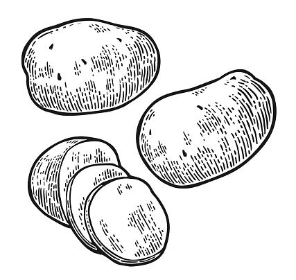 Image result for Potato Man Project Python Coding