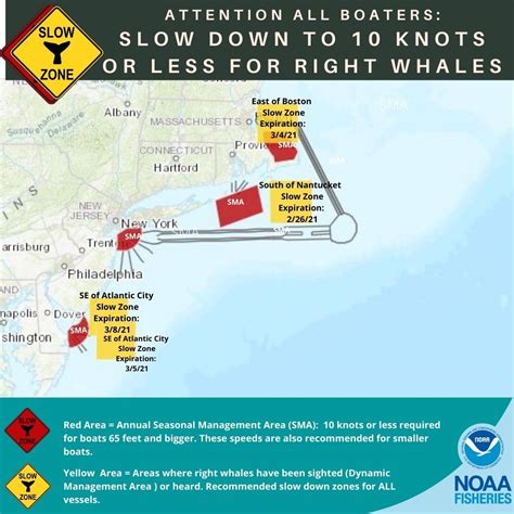 New Slow Zone off Atlantic City to Protect Right Whales
