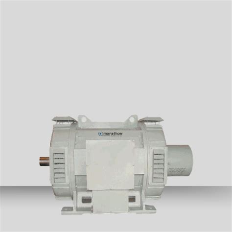 WEG Marathon SPDP Motors Dealer & Supplier, Mumbai, India | Makharia ...