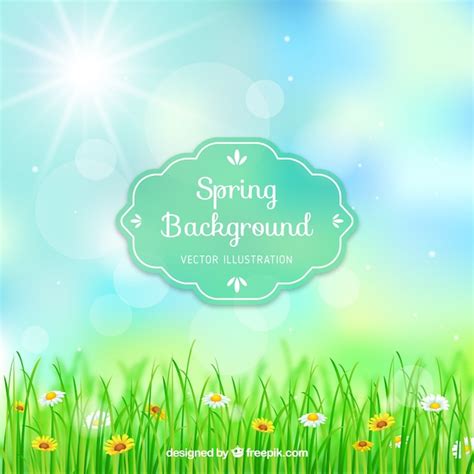 Image result for Spring Boot No Background