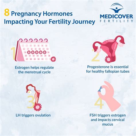Medicover Fertility | Pregnancy hormones can have a significant impact on a woman's fertility ...