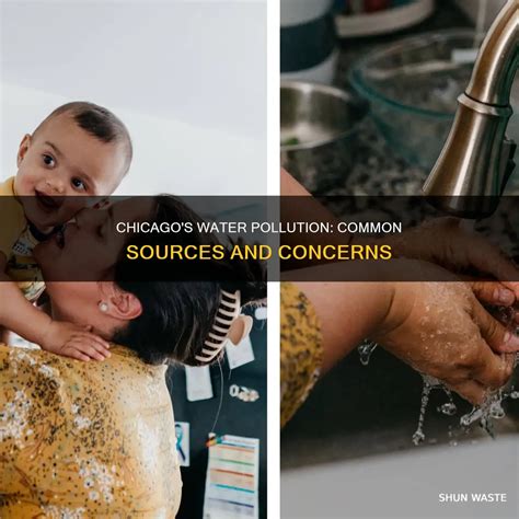Chicago's Water Pollution: Common Sources And Concerns | ShunWaste