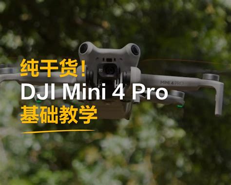 DJI Go 4 Tutorial 的图像结果