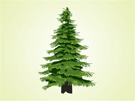 Evergreen Tree Vector 的图像结果