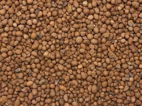 How to Use Leca 的图像结果