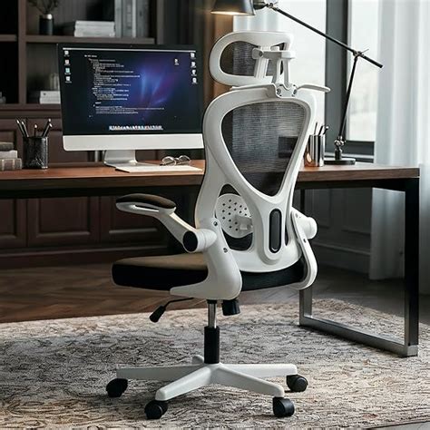 DROGO Ergonomic Office Chair for Work from Home with Breathable Mesh ...