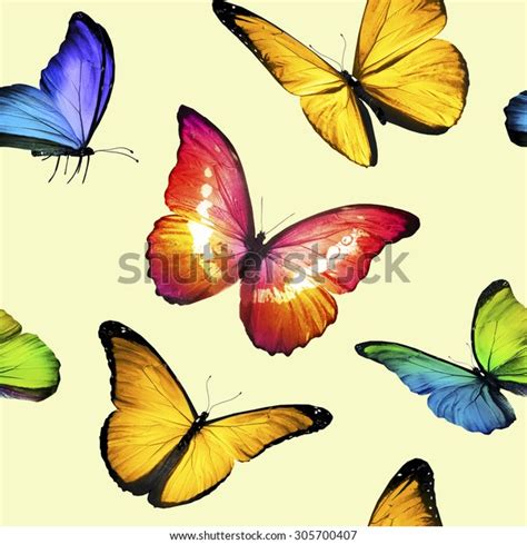 Pattern Flying 的图像结果