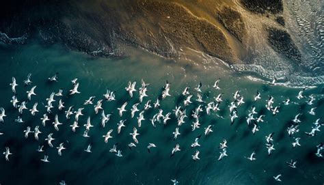 Aerial Photography Using Drones 的图像结果