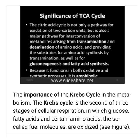 Discuss the significance of citric acid cycle - Brainly.in
