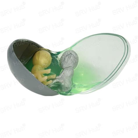 Image result for Alien Egg Toy Walmart