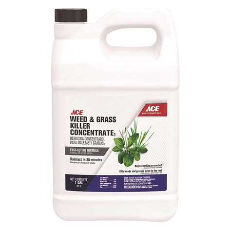 Ace Weed and Grass Killer Concentrate 1 gal - Super Arbor