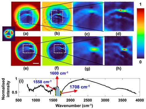 Computational Imaging at the Infrared Beamline of the Australian ...