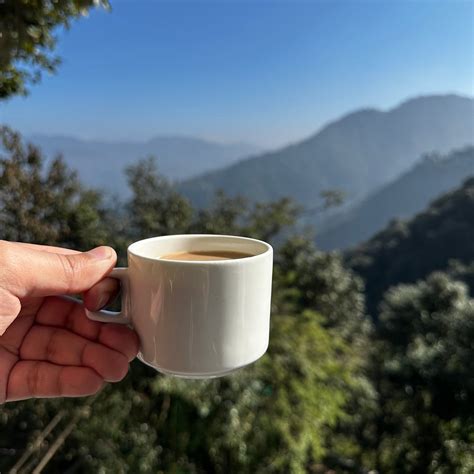 THE MOUNTAIN QUAIL HOTEL & RESORT (Mussoorie) - Hotel Reviews, Photos ...