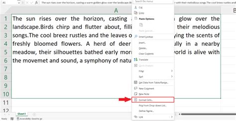 How to Do Line Spacing in Excel 的图像结果