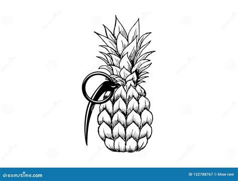 Hand Drawn Vector Grenade Pineaple Stock Vector - Illustration of field ...