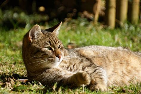 Image result for Make Print Bigger Computer