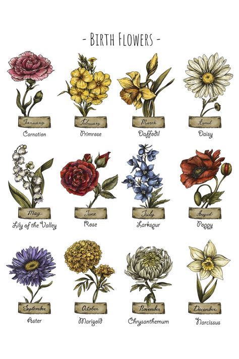 A guide to birth month flowers – Artofit