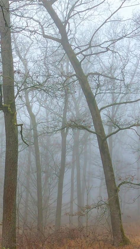 Image result for Python Programming Language 9 16