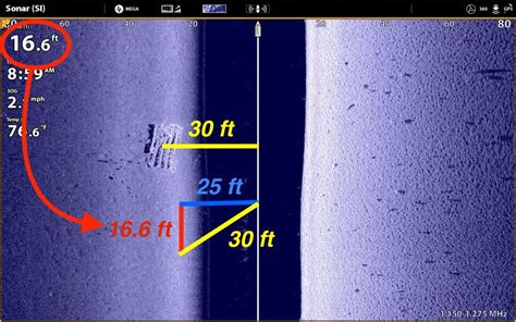 Image result for How to Read Side Scan Imaging