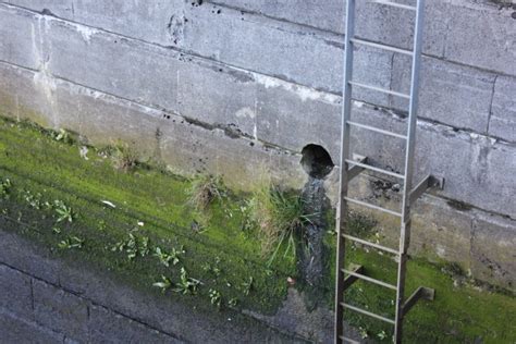 Image result for Logical Direction for Posting API