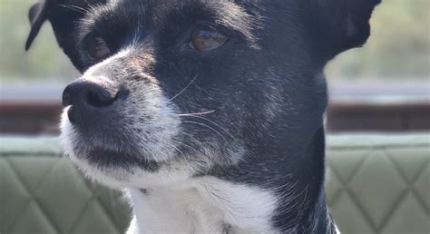 HOTEL DE NIEUWE POORT ZEELAND (Kortgene) - Guesthouse Reviews & Photos ...