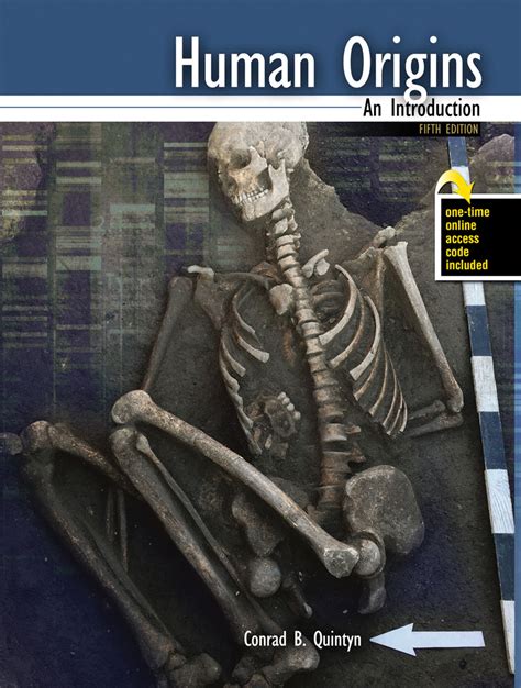 Human Origins Explained 的图像结果