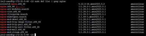 Image result for Nginx Amazon Linux 2