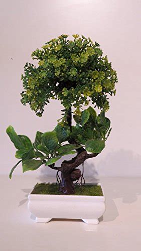 Buy Xoze Green Artificial Plant/Artificial Flora Decorative Plants with ...