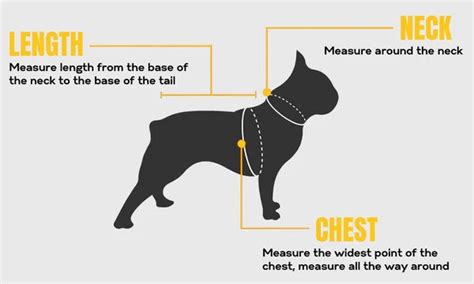 Size Guide – Wrapinfur