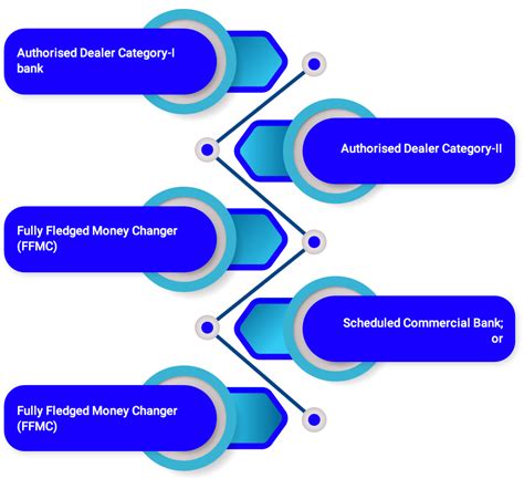 Money Transfer Service Scheme under FEMA - Enterslice