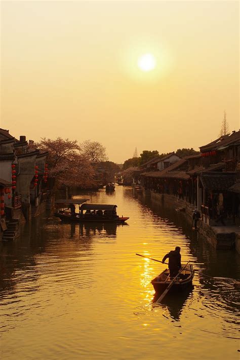 Quiet 的图像结果