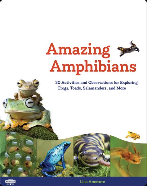 Amazing Amphibians Book by Lisa J. Amstutz | Epic