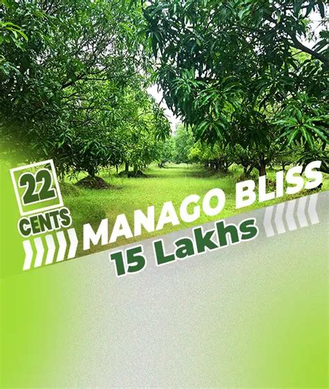 Getfarms: Mango Farmland | Mango Farm For Sale | Mango farms