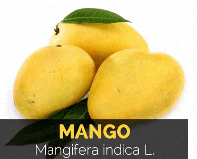 Taxonomy: Identification, Nomenclature and Classification - Biology ...