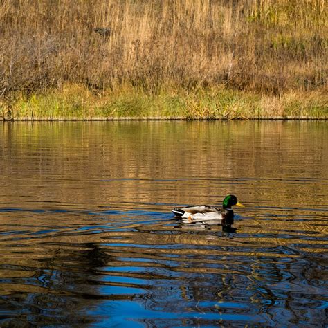 Palmisano Park | The Most Beautiful Places in Chicago with Geoffrey ...
