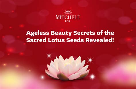 Anti Aging Lotus – Mitchell USA