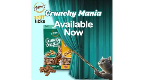 Gnawlers Crunchy & Tender Cat Treats Tasty Chicken - dspetstore.com