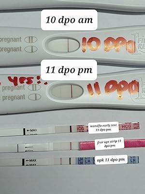 ਵੋਂਡਫੋ ਗਰਭ ਅਵਸਥਾ ਟੈਸਟ ਸਟ੍ਰਿਪਸ ਅਰਲੀ ਖੋਜ - ਵਾਧੂ ਸੰਵੇਦਨਸ਼ੀਲ 10 ਐਮਆਈਯੂ ...