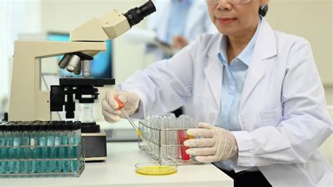 Biotechnology Engineer 的图像结果