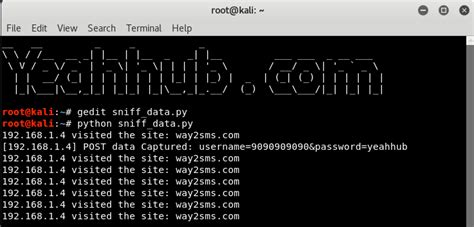 Image result for Packet Sniffer Python Windows