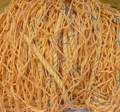 Image result for Swimming Pool Net