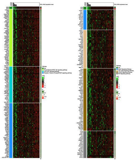 Systematic Analysis of Cellular Signaling Pathways and Therapeutic ...