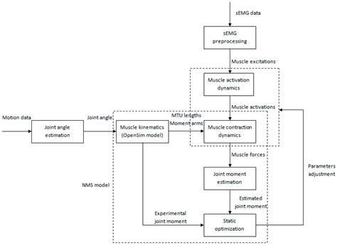 A Pilot Study of Individual Muscle Force Prediction during Elbow ...