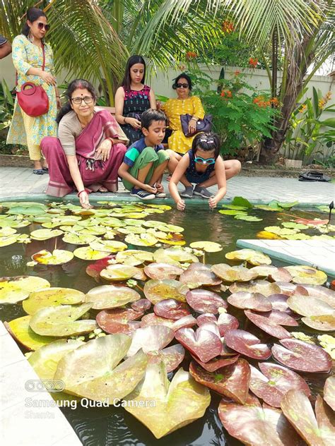 Nodi Teerae | Gallery